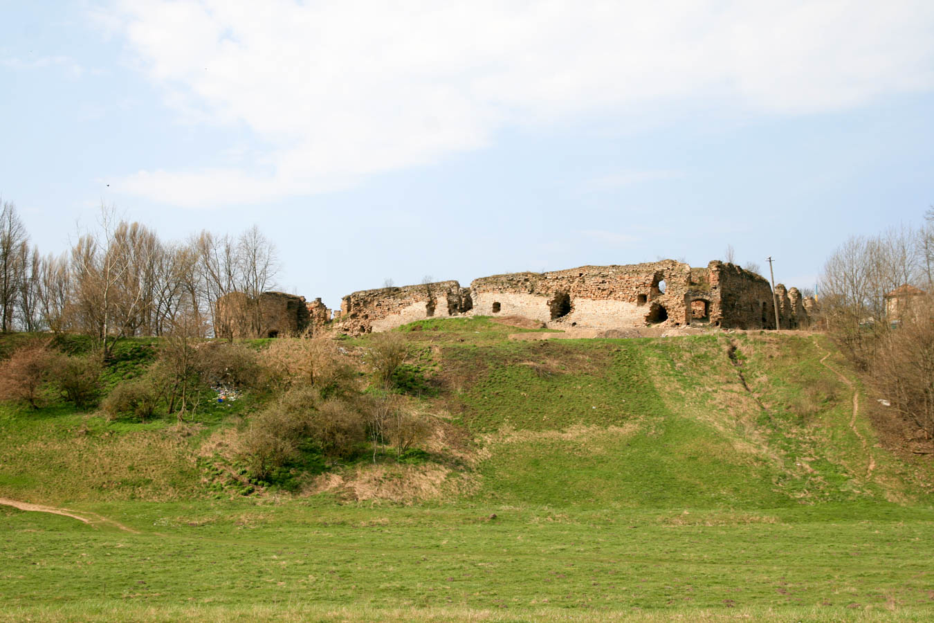 Zamek Sieniawskich w Mikulińcach