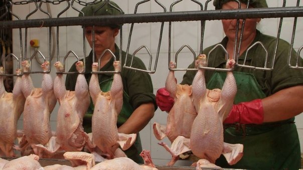 Źródło - vk.com
