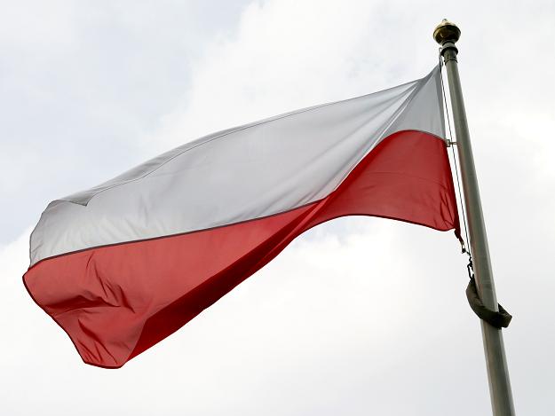 Zdjęcie pobrano z http://polskalokalna.pl/wiadomosci/mazowieckie/warszawa/news/w-swieto-niepodleglosci-marsz-blokada-koncert,1717946,3319